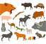 Mammals