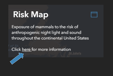 More Info Location
